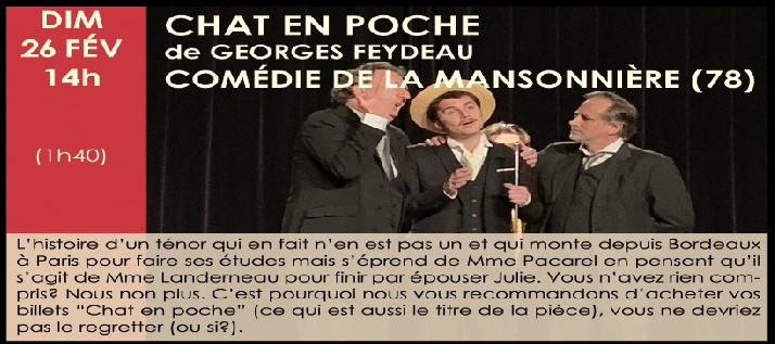 chat en poche